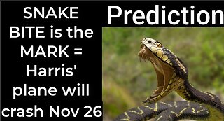 Prediction - SNAKE BITE prophecy = Harris’ plane will crash Nov 26
