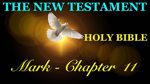 Mark - Chapter 11 DAILY BIBLE STUDY {Spoken Word - Text - Red Letter Edition}