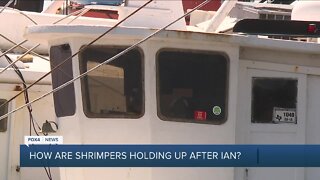 All shrimping boats back in the water in less than 6 months from Hurricane Ian