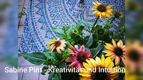 Sabine Pint - Kreativität und Intuition