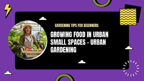 Growing Food in Urban Small Spaces - Urban Gardening