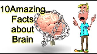 10 facts about the Brain, you may not have heard before!