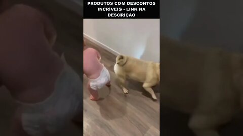 bebê brincando com cachorro