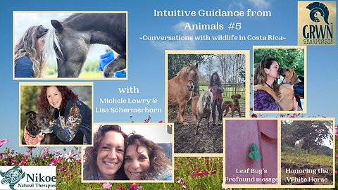 #5 Conversations with wildlife in Costa Rica
