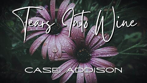 Tears Into Wine by Case Addison