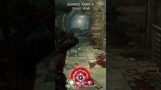 ZOMBIE ARMY 4 DEAD WAR #9