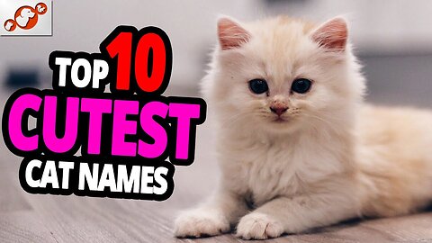🐈 Cutest Cat Names - TOP 10 Cutest Cat Names For Male & Female!