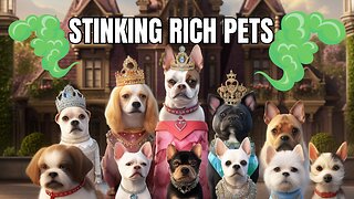 THE WORLDS RICHEST PETS!!!