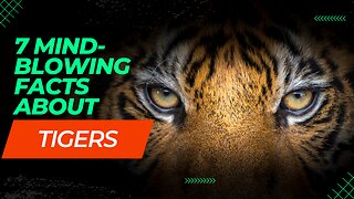 7 Roaring Tiger Facts: Unleashing the Wild Secrets of the Jungle's Majestic Stripes!