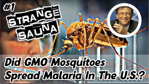 Did Genetically Modified Mosquitoes Spread Malaria in the U.S? (Ep. 1)