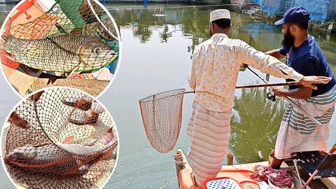 ১৫০০০ টাকার টিকিটে বড় বড় রুই মাছ ধরলাম/Unbelievable rohu fish catching