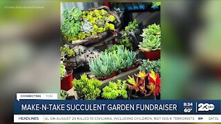 Local Nursery hosting Make-N-Take Succulent Garden fundraiser