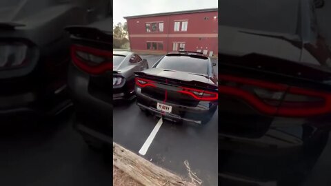 Shelby Mustang and Dodge....Power Performance ...#viral #shorts