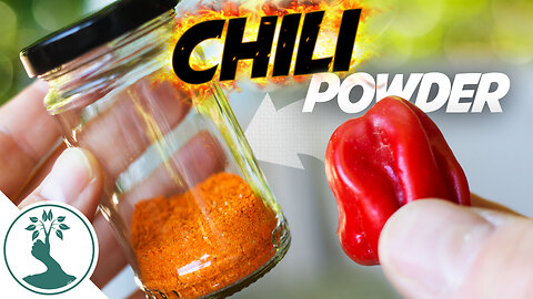 How To Make Your Own Chili Powder - Making Chilli Powder at Home