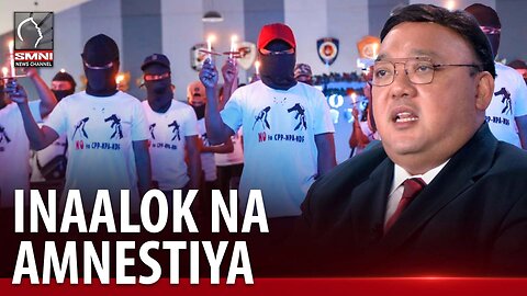 Amnestiya na inaalok ng pamahalaan sa mga rebelde, malaki ang bentahe kumpara sa peace talks —Roque