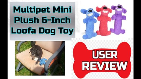 Multipet Mini Plush Loofa Dog Toy 6-Inch - Rigatoni's Favorite Mr Squeaky Toys