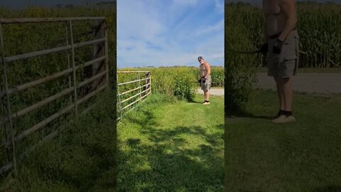 Sword arm workout, Slaying weeds, Crazy 🤪 old man