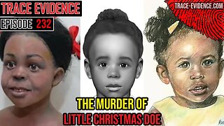 232 - Little Christmas Doe