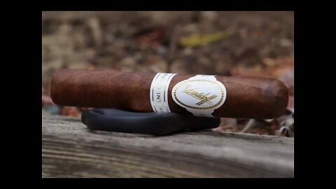 Team Review Recap: Davidoff Robusto Intenso