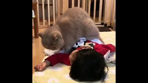 Caring 🐈Cat #ytshorts #shorts #PetpupFun #Fun #Dogs #Cats #Entertaiment #trending #viral