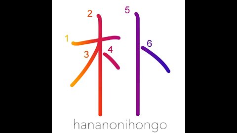 朴 - crude/simple/plain/docile - Learn how to write Japanese Kanji 朴 - hananonihongo.com