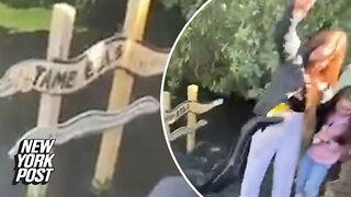 Eel bites woman who went fishing for her phone