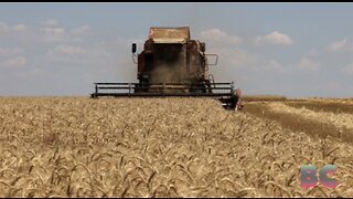 Russia axes landmark Ukraine grain deal just hours before deadline