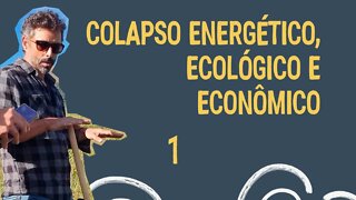 Como se Preparar para o Colapso Energético, Ecológico e Econômico