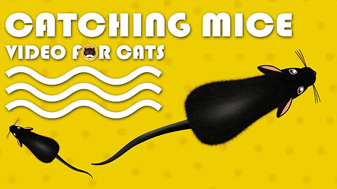 Cat Games - Catching Mice! Entertainment Videos For Cats To Watch .