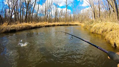 TROUT Fishing with SPINNERS in the SWAMP