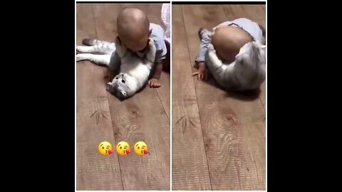 Cute cat play with little baby