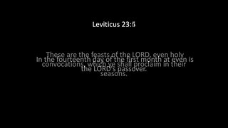 Leviticus Chapter 23