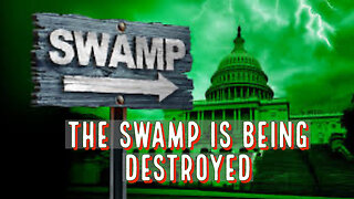 THE SWAMP IS BEING DESTROYED