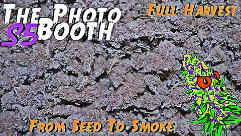 The Photo Booth S5 Ep. 15 | Full Harvest | From Seed To Smoke