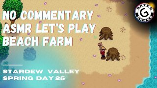 Stardew Valley No Commentary - Family Friendly Lets Play on Nintendo Switch - Spring Day 25