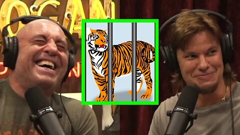 Theo Von Catches Joe Rogan Off Guard with HILARIOUS Joke!