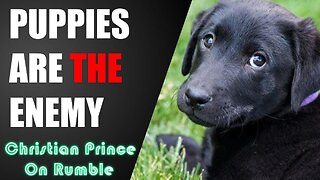 Allah Wages JIHAD on DOGS?! Black Puppies Are The Enemy Of Allah