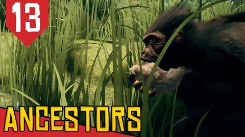 Barriga Evoluída! Agora é Comer Tudo! - Ancestors The Humankind Odyssey #13[Gameplay Português PTBR]