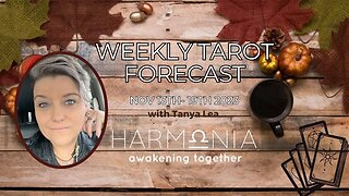 All Signs Weekly Tarot Forecast | What You Need To Know | November 13th-19th
