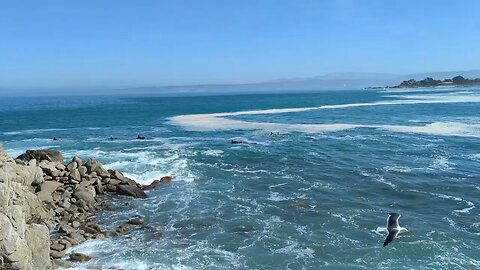 Ocean Energy at Lovers Point