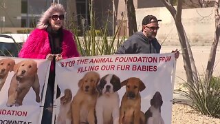 Protestors hold rally outside Animal Foundation, demand organization be shut down