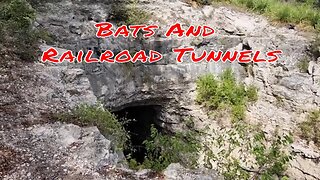 Bats and railroad tunnels: a Texas side trip
