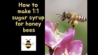 How to make 1:1 sugar syrup for honey bees. Part 3 of our honey bee series.