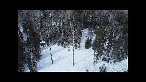 My first flight | DJI Mini 2