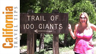 Giant Sequoia National Monument - Trail of 100 Giants Travel Guide | California Travel Tips