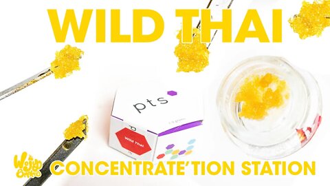Wild Thai Live Sugar by pts Review