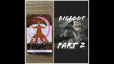 Bigfoot/Sasquatch 👣 ( Part 2)