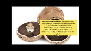 MUSHROOMS ARE GOOD (DR. SEBI APPROVED) - FOOD & MEDICINE #drsebi #drsebiapproved #alkaline #mushroom