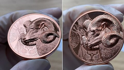 MAGNIFICENT ARGALI Wild Mongolia Ram Copper Coin 250 Togrog Mongolia 2022