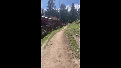 Fairy Meadows - Pakistan - Gilgit Baltistan